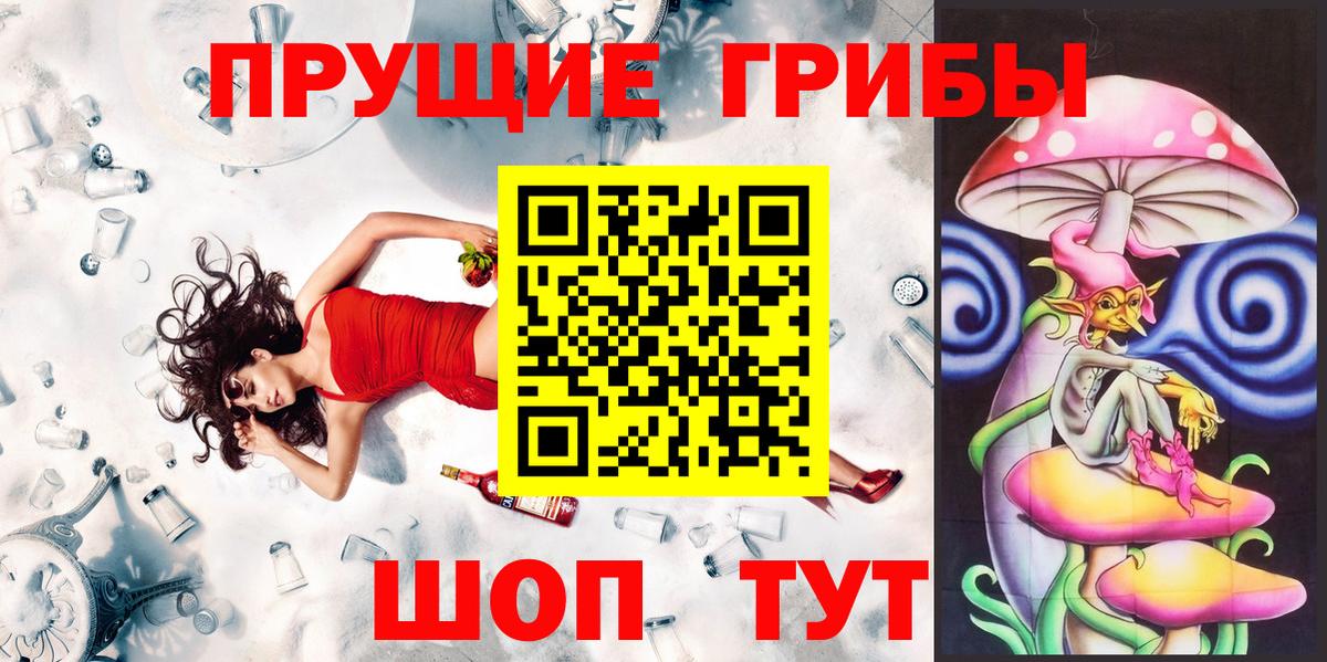 Южноуральск  Галлюциногенные грибы прущие грибы  Вход с VPN  Псилоцибиновые грибы мицелий 